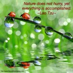 AOL_Quotes_Picture22